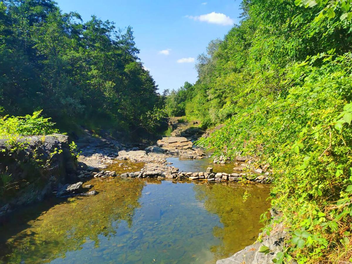 Aloha Glamp - Okragle Domki Przy Rzece - Balia I Sauna - Energylandia Villa Zagornik Luaran gambar