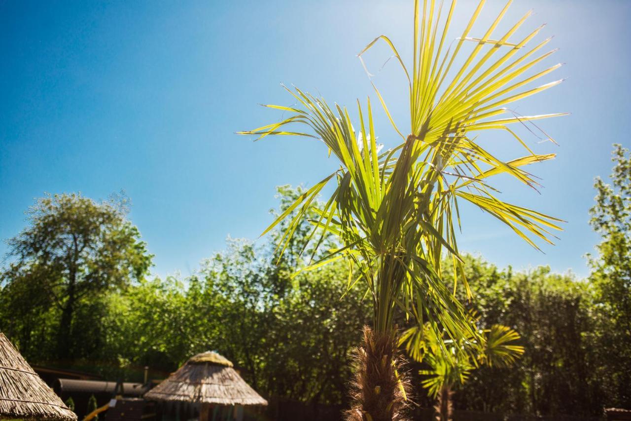 Aloha Glamp - Okragle Domki Przy Rzece - Balia I Sauna - Energylandia Zagornik Luaran gambar